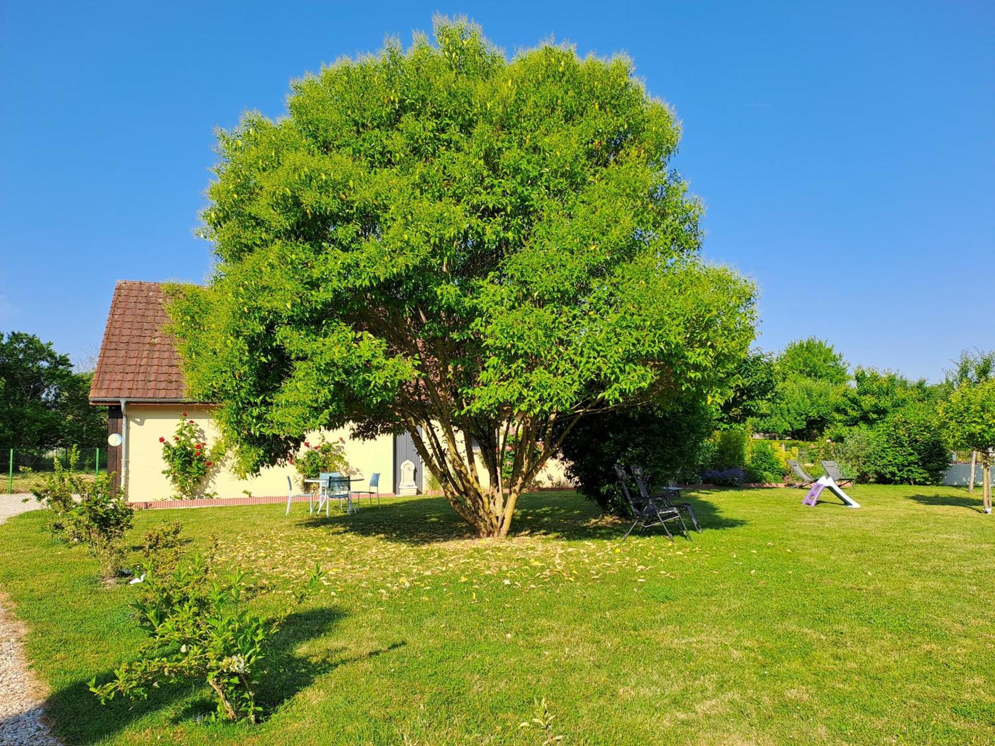 Chambres D'Hotes Le Clos Poli Montigny-les-Monts Buitenkant foto